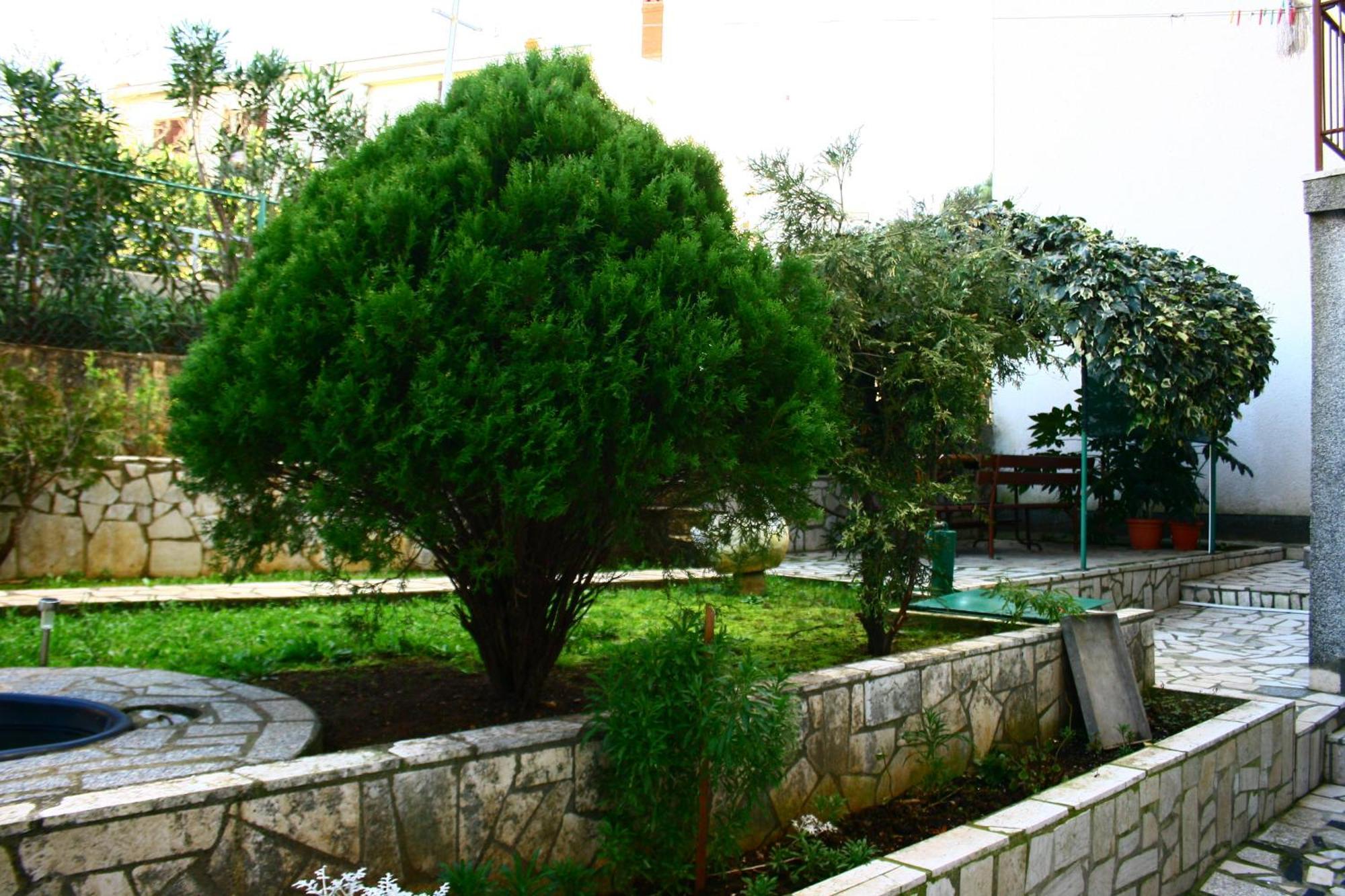 Paradiso Apartment Pula