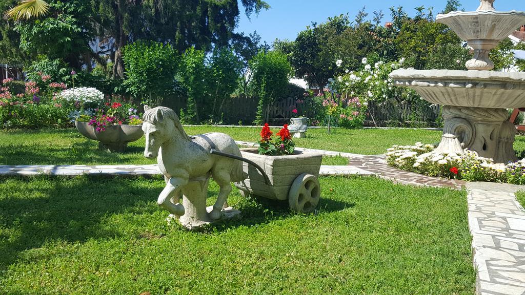 Apartment Paradiso Pula